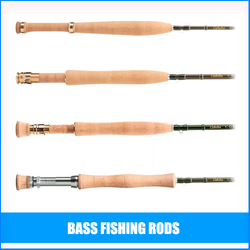TOP 14 Bass Fishing Rods Buying Guide & Reviews 2022
