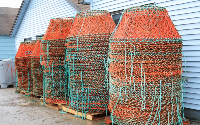How Alaskan King Crab Pots Work (Guide) Crabbing Fisherman First