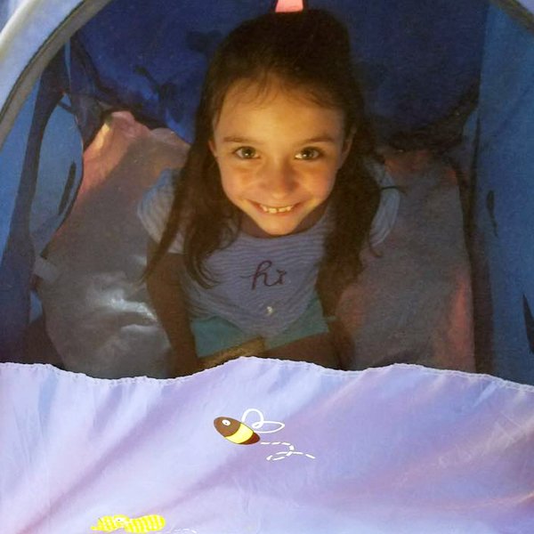 Lambertville Academy Fisherman's Mark