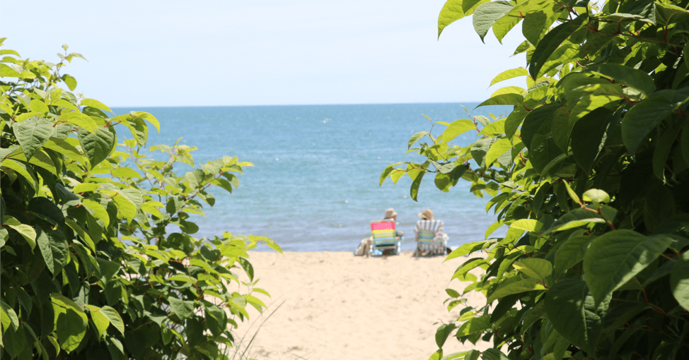 Your Nantucket Rental An All Inclusive Guide Fisher Real Estate