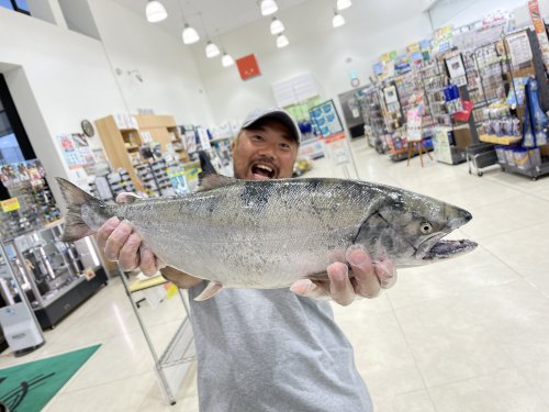 本間釣具店・フィッシャーズ｜新潟・富山・石川・福井の釣り情報・通販・レンタル