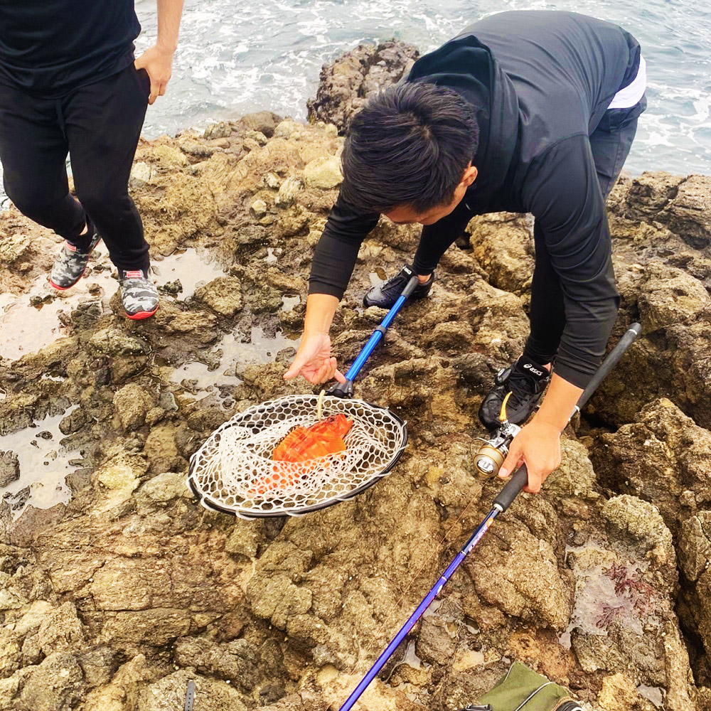 伝説の海岸 伊豆 吉田海岸 釣り｜後編 いろはにぽぺとアングラー部 釣り動画・釣りブログ