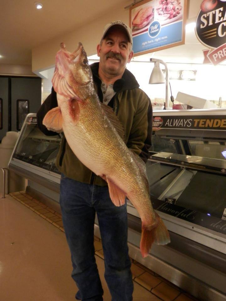 Walleye Fishing Guide Fishers Catch Outfitters