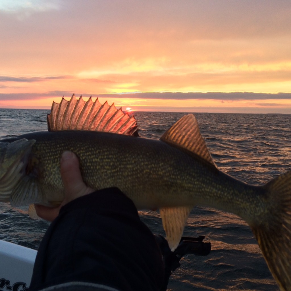 Fishing Mille Lacs Lake Fisher's Resort, Voted Best Launch in MN