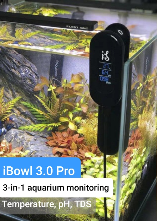 ibowl 3 in 1 Aquarium Monitoring system FishPlay