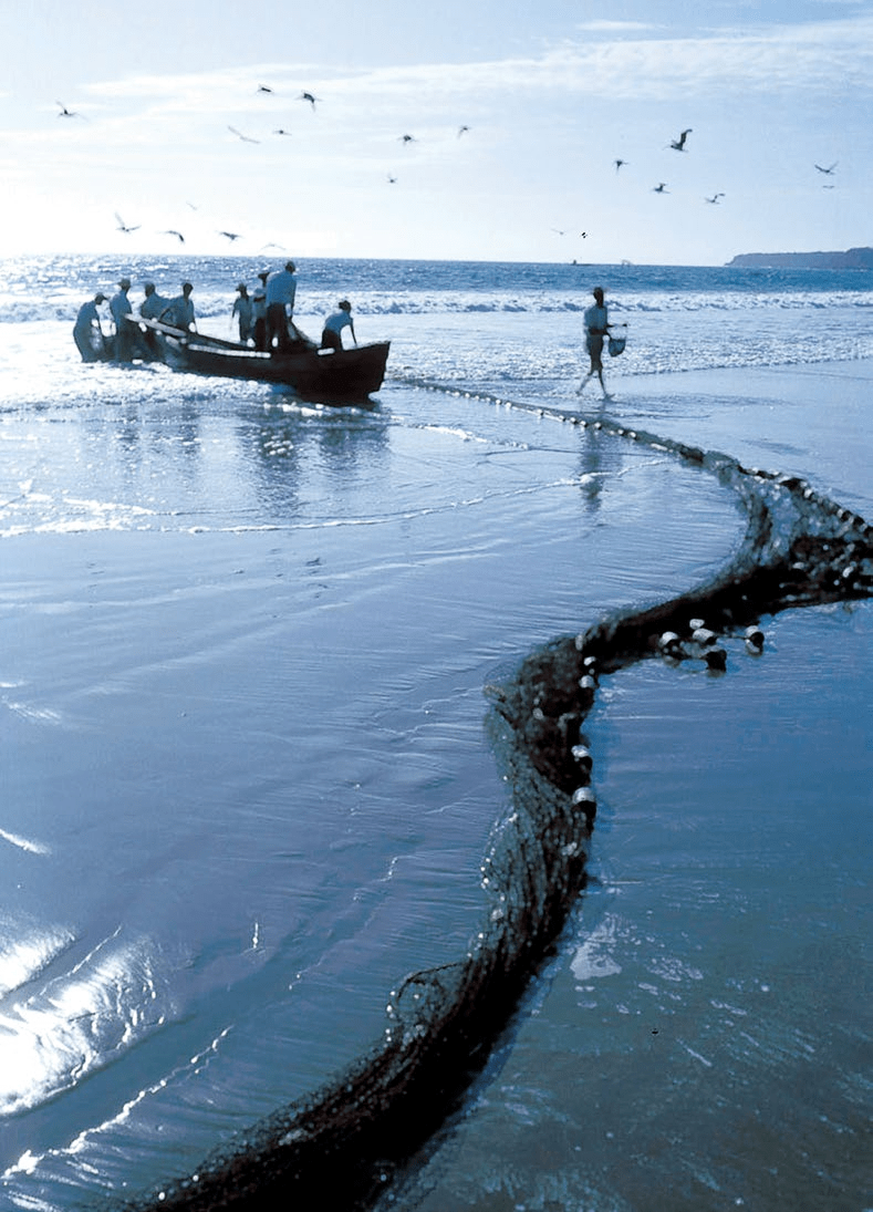 Price of Fish Feed Pellet Production Machine in Nigeria