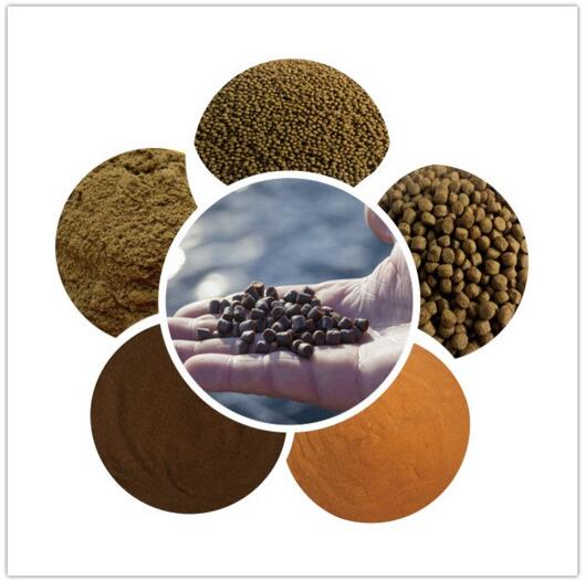 How to Start a Commercial Fish Farm Fish Farm Business Running