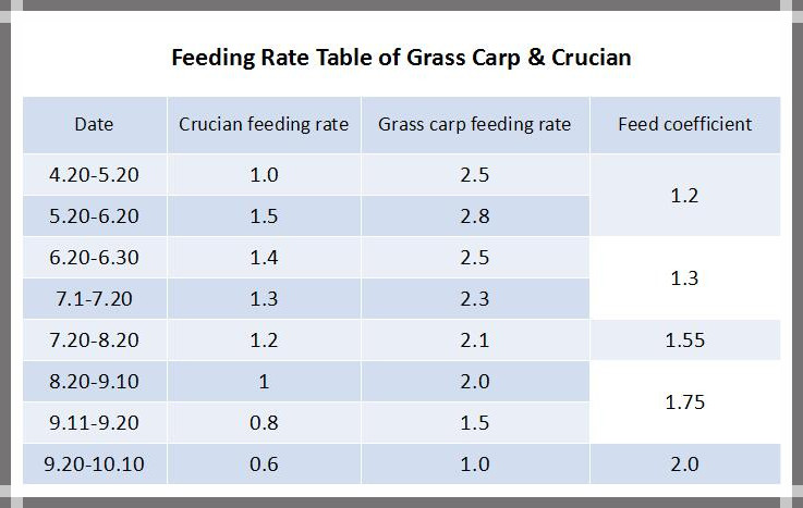 How to Promote Aquatic Feed Utilization Ratio