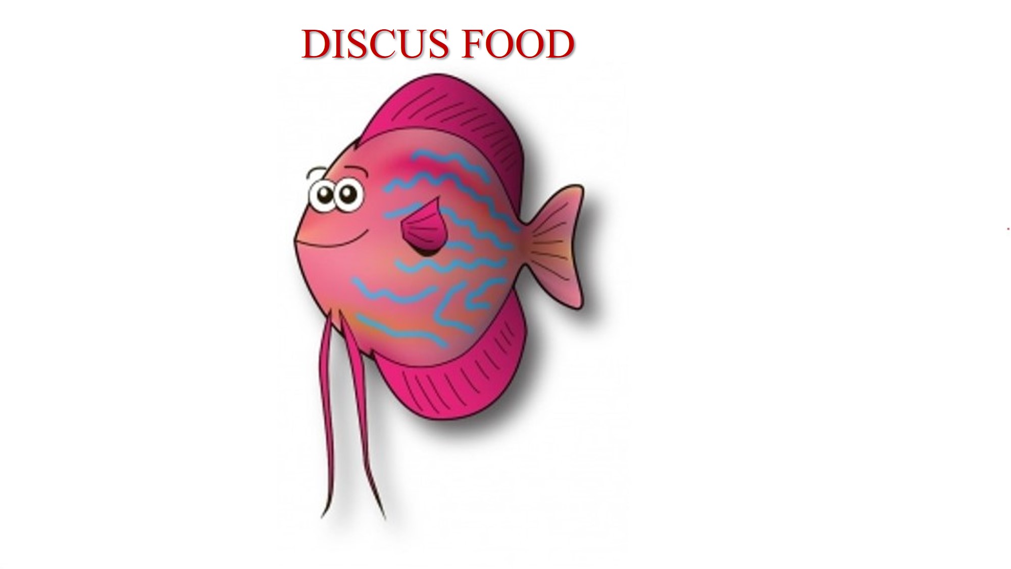 Discus Food Fish Fuel Co