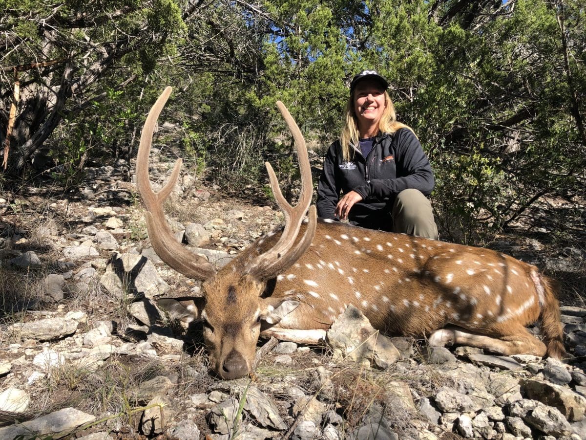 Hog Hunting with Tannerite (VIDEO) *Graphic Texas Fish & Game Magazine
