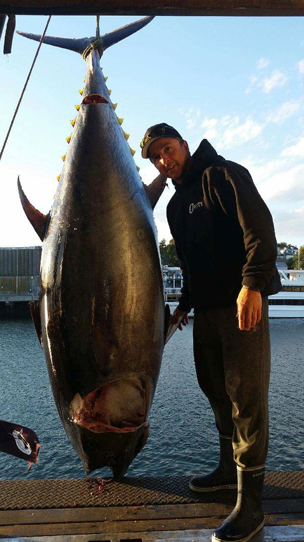 IMG_1012 Fish Gloucester