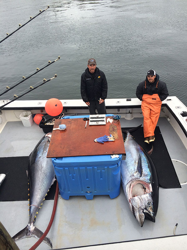 IMG_1109 Fish Gloucester