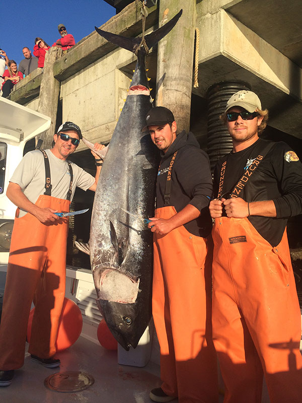 IMG_5375 Fish Gloucester