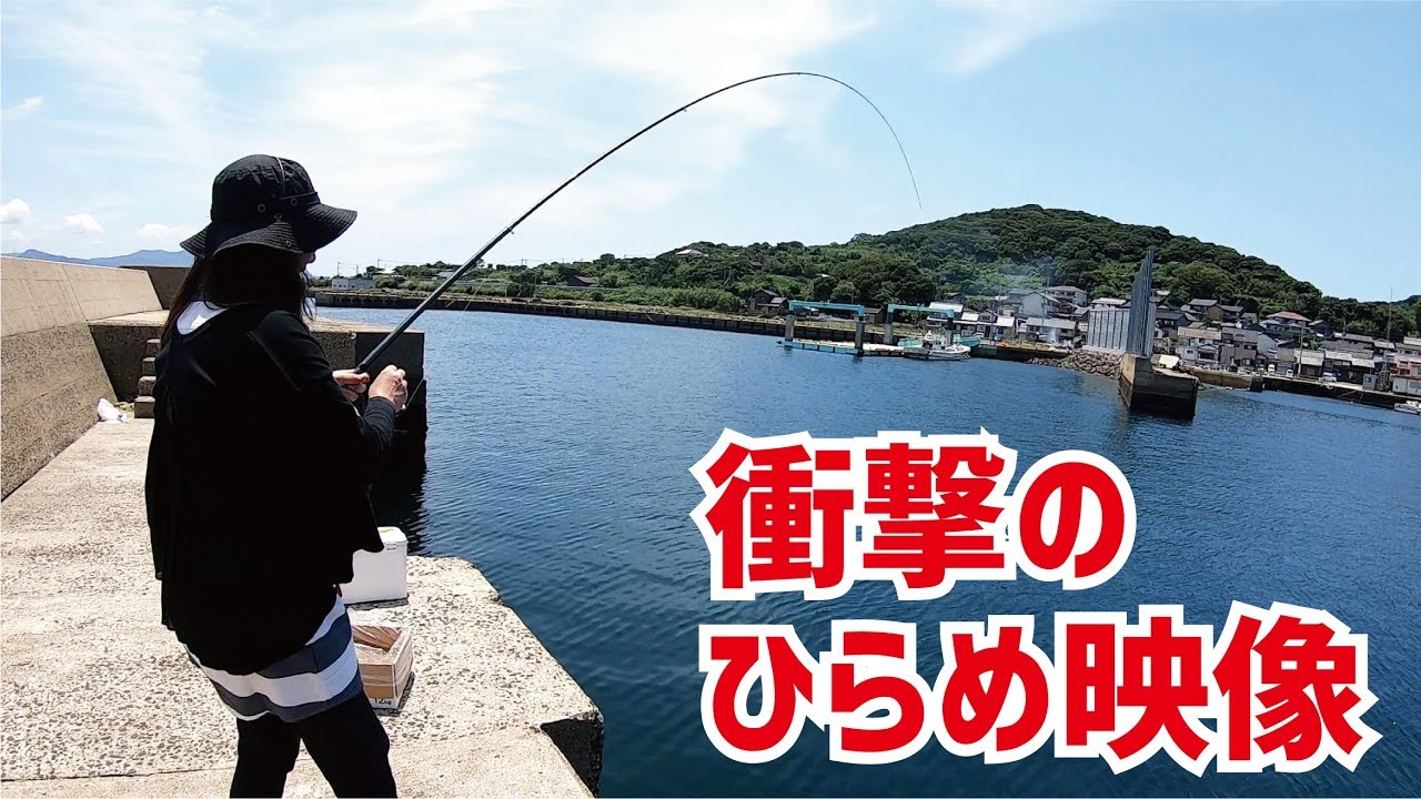 堤防から目標超えのひらめに衝撃が走る映像！【釣りスギ四平】 無料釣り動画TV