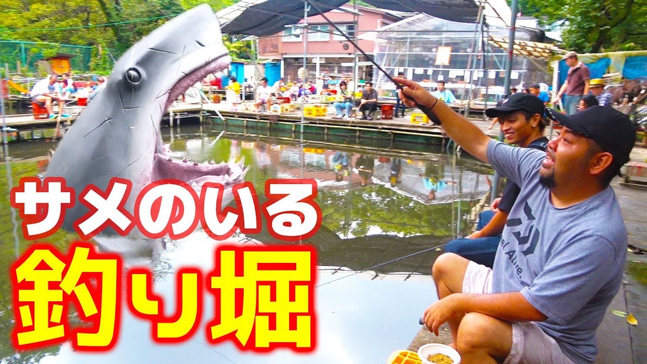 【全額支払】サメのいる釣り堀で釣り対決！罰ゲームは昼飯代！【ハイサイ探偵団】 無料釣り動画TV