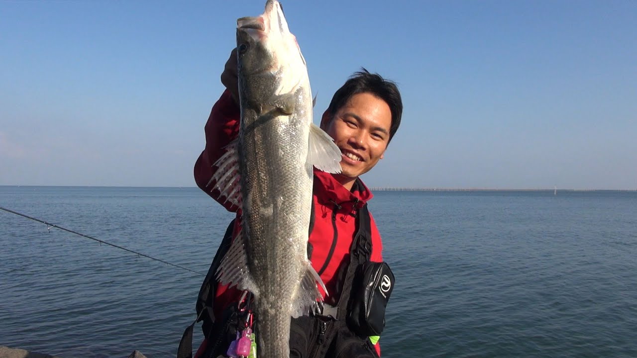 みんなで有明海のシーバスルアー釣り!!【釣りいろは】 釣り動画TV