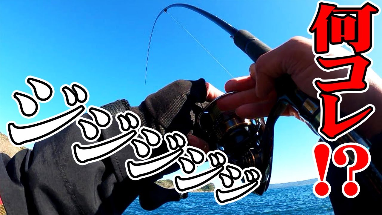 【釣りせんば・初魚】ブチ曲がった竿に掛かったのはレア魚種！？【釣りせんば】 無料釣り動画TV