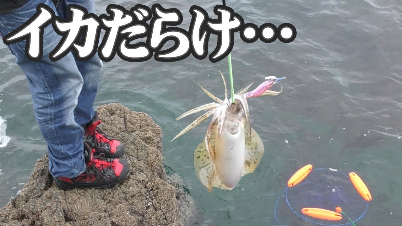 こんなにイカが釣れて良いのだろうか？しかも大きい…【釣りせんば】 釣り動画TV