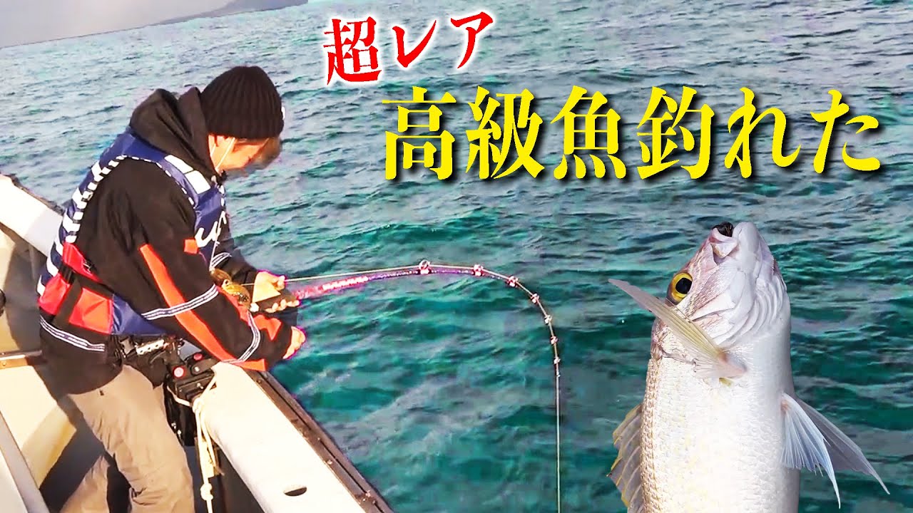 【大寒波釣り・後編】激レア！長崎出身の高級魚が沖縄で釣れました【ハイサイ探偵団】 無料釣り動画TV