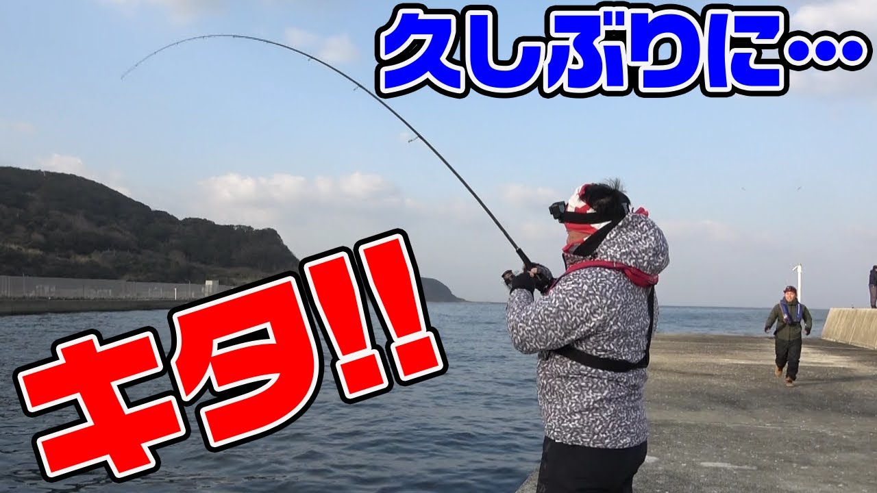 堤防から久しぶりのいろいろ大爆釣！【釣りいろは】 無料釣り動画TV