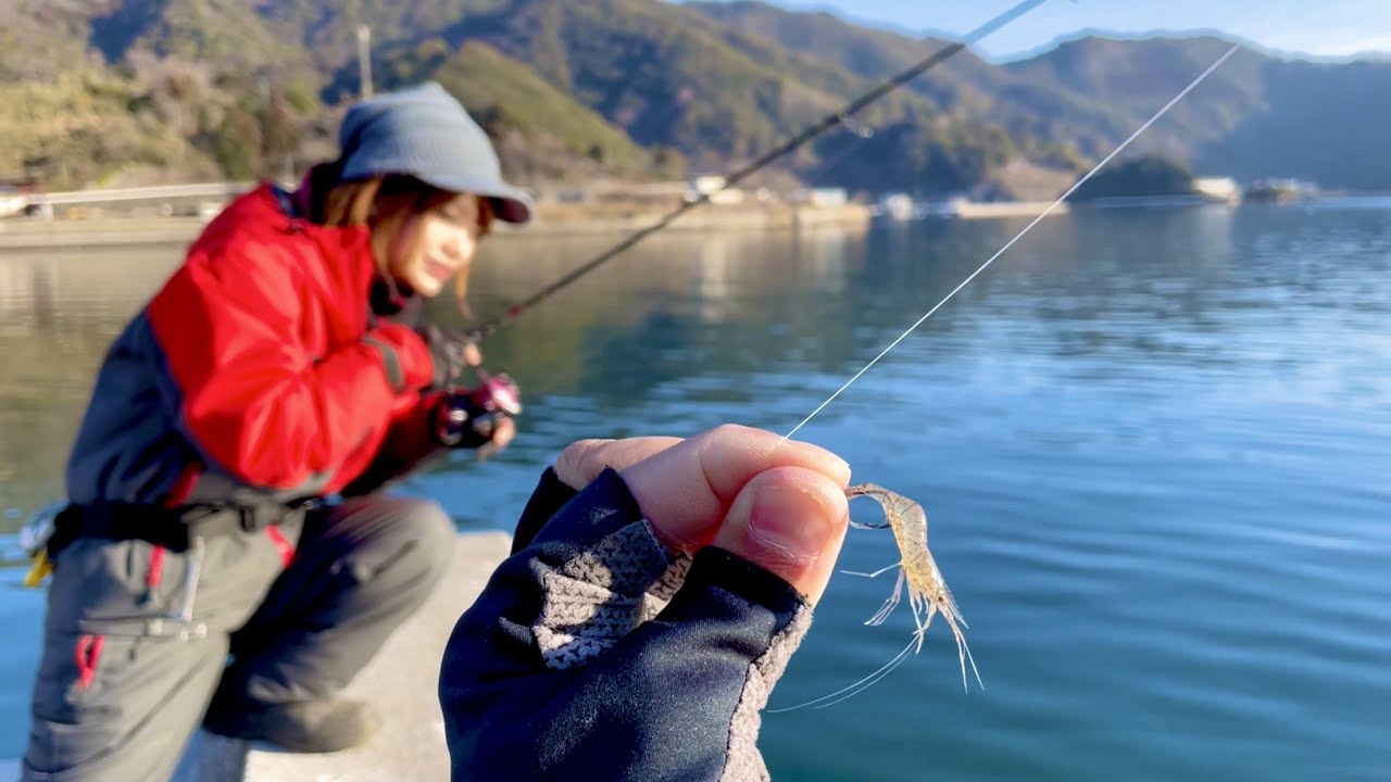 10+ 釣り キャンプ 動画 Ideas