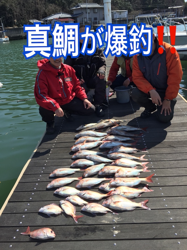 瀬戸内海 鯛サビキで春の真鯛釣り 2018 /03/17 FISHINGRED