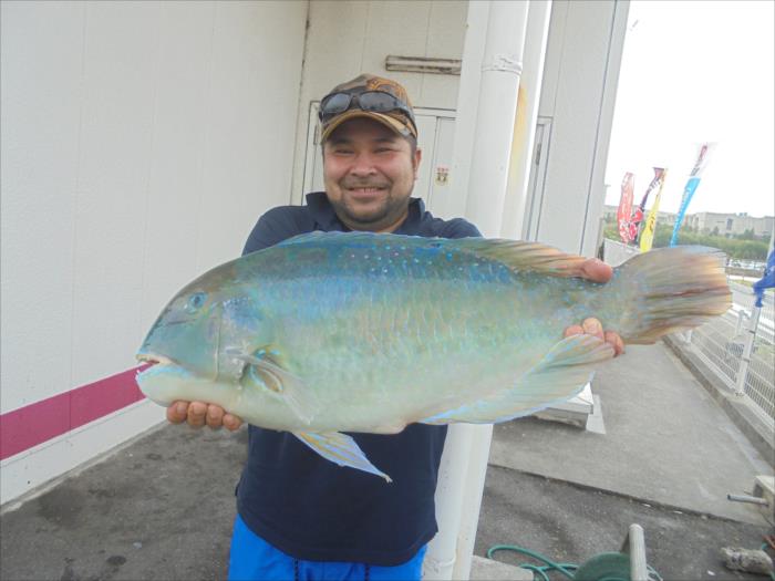 沖縄の釣り 釣果報告[フィッシングステップ具志川店]