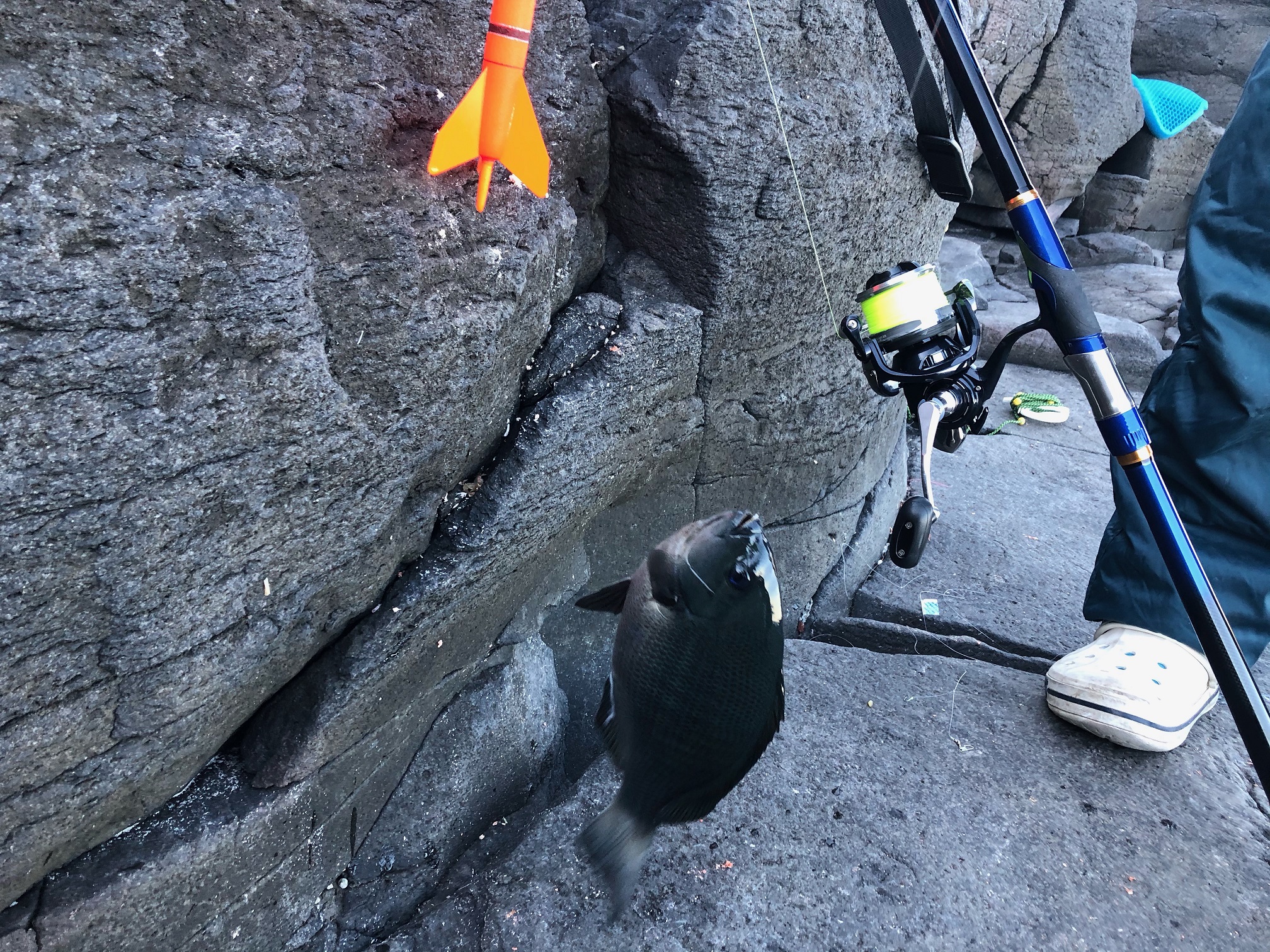 東伊豆 八幡港ヒナダンで遠投カゴ釣り！ フィッシング遊