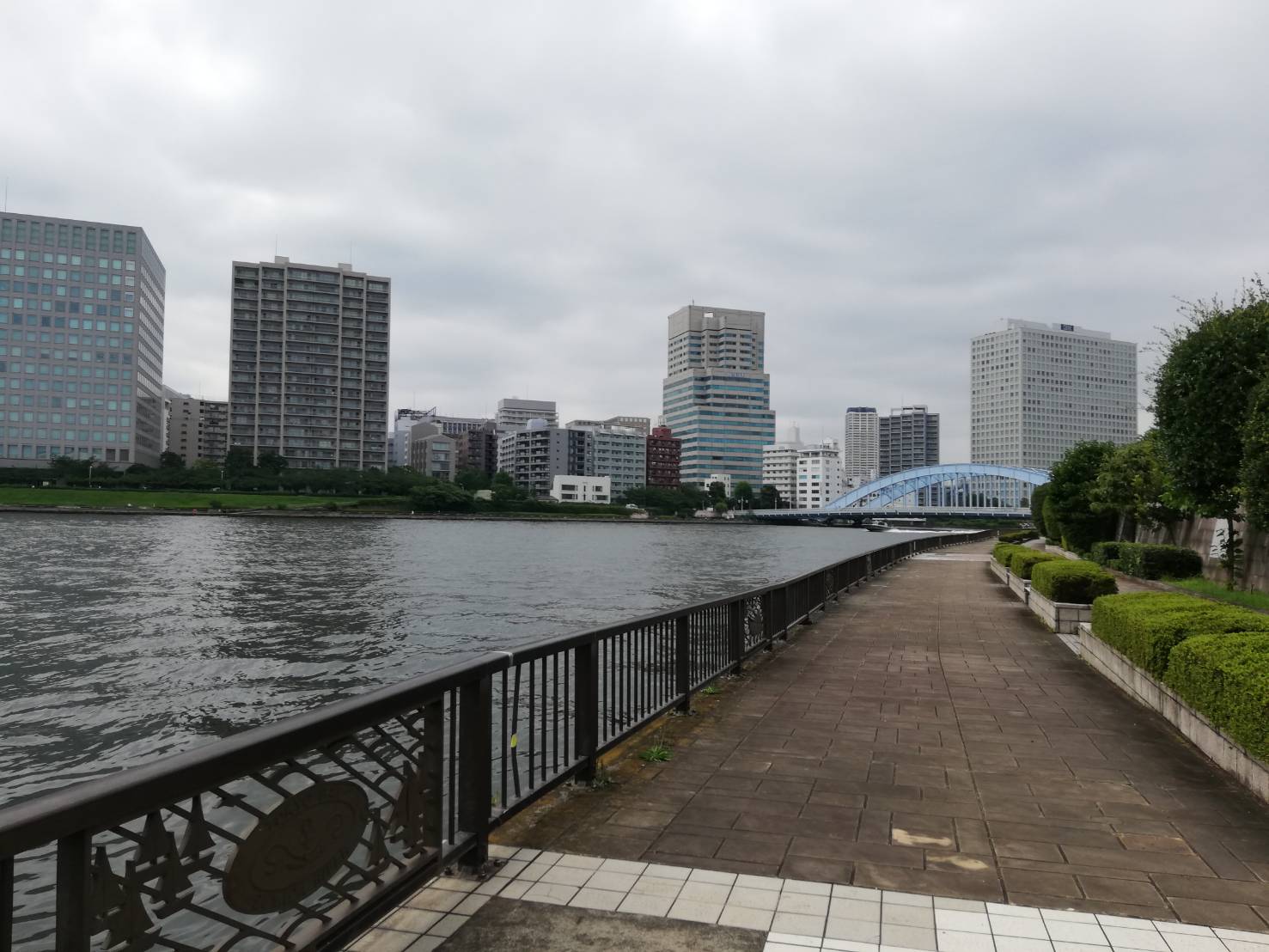 永代公園 東京釣りライフ