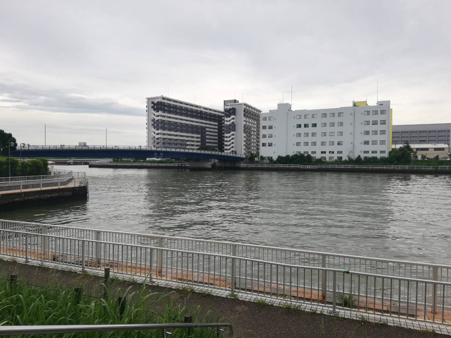 潮見さざなみ公園 東京釣りライフ