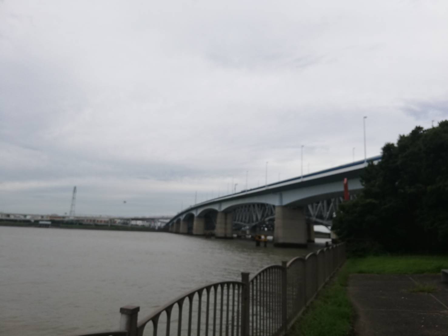 夢の島緑道公園 東京釣りライフ
