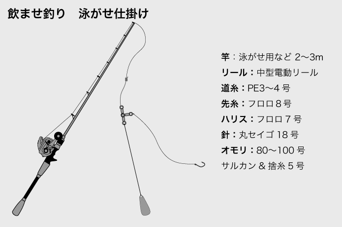 泳がせ釣り（のませ釣り）とは？｜やり方や仕掛けを徹底解説！