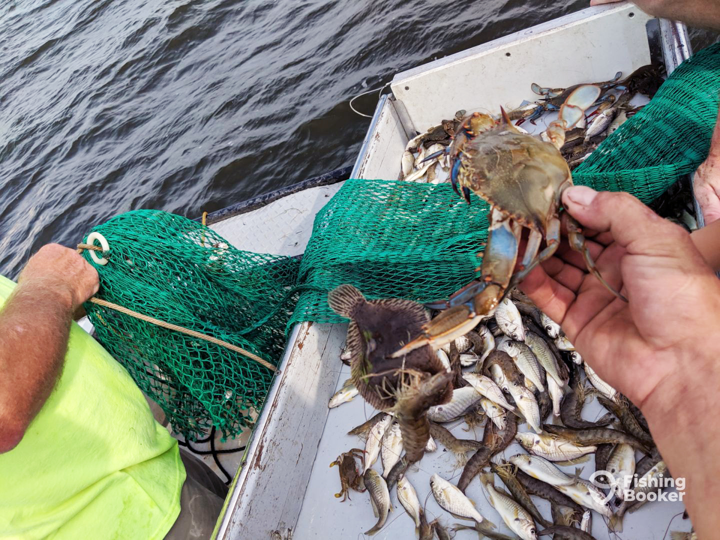 How to Catch Crabs An Angler’s Guide