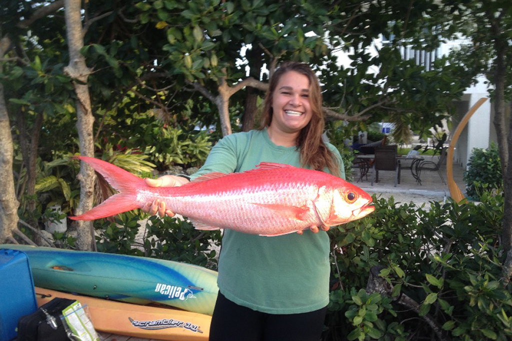 Types of Snapper in Florida A Quick Guide (Updated 2022)