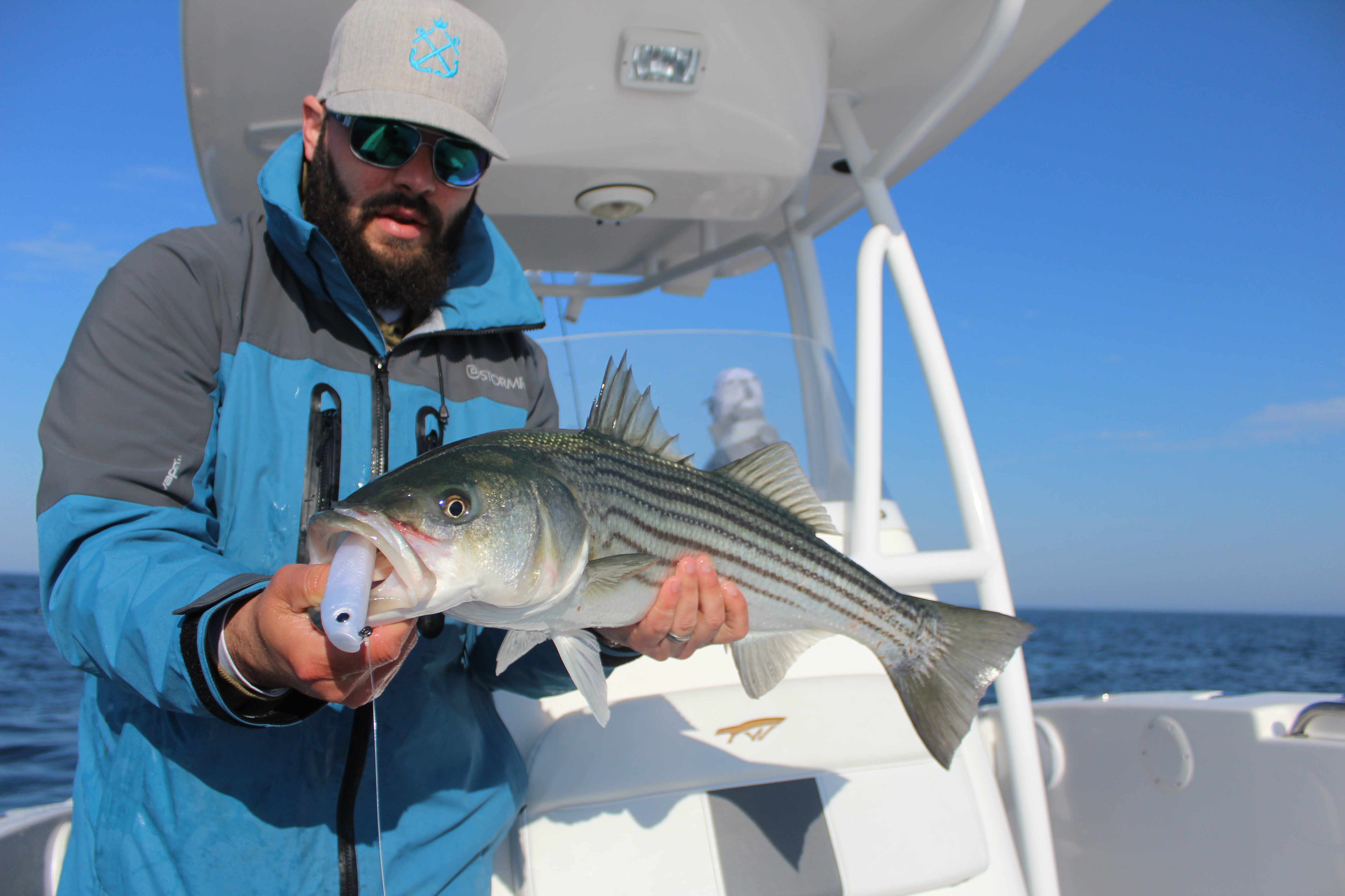 an angler holding a striped bass on a boat