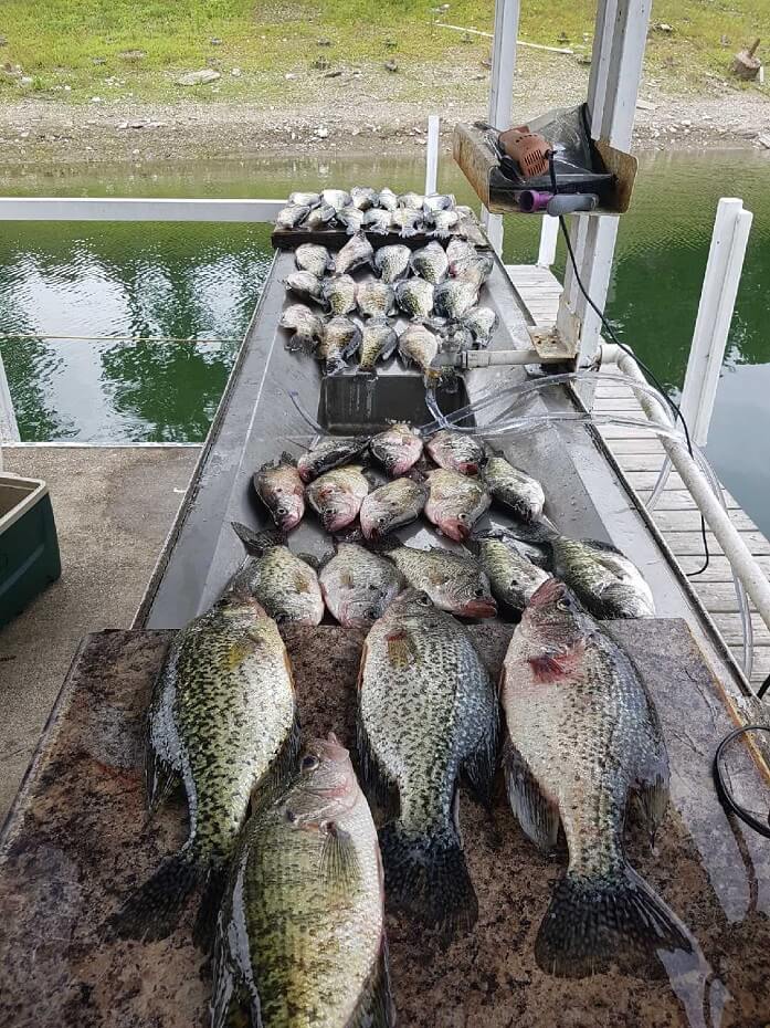 Fishing Photo Gallery Crappie & Bass Fishing Broken Bow Lake