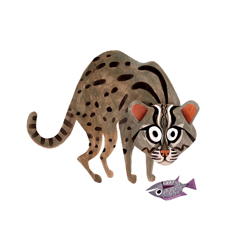 Partner Projects Fishing Cat Conservation Alliance