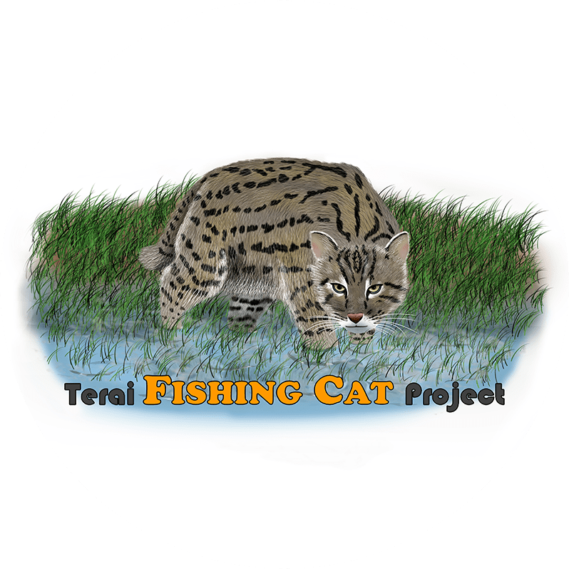 Partner Projects Fishing Cat Conservation Alliance