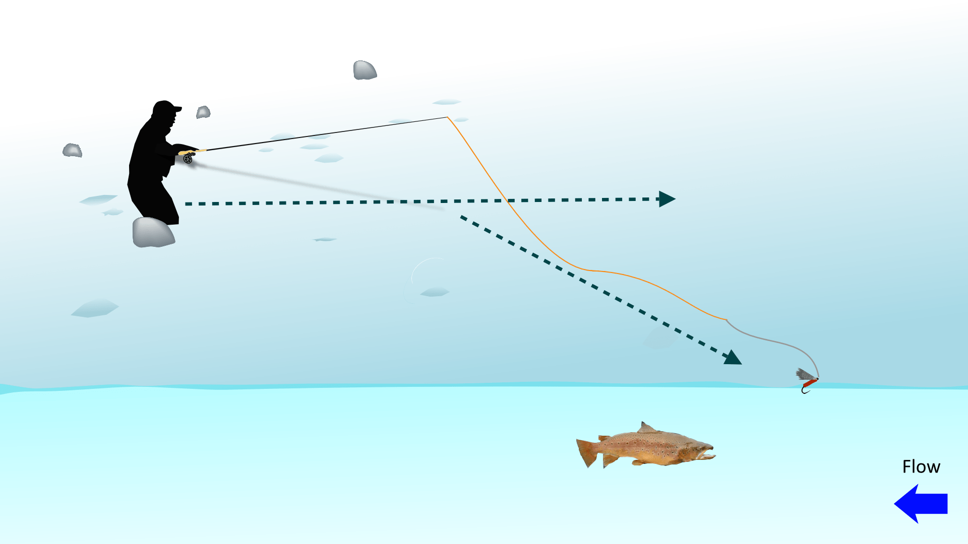 Dry Fly Fishing for Trout Expert Secrets from Beginner to Advanced