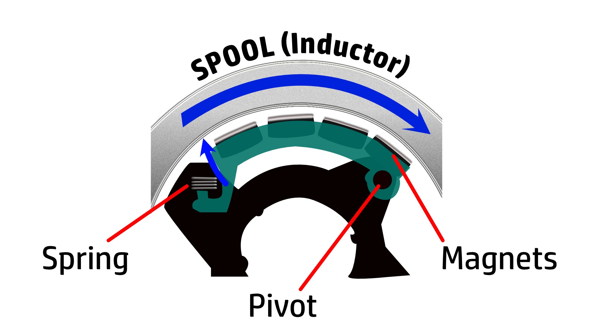 Best Baitcaster Braking System Thumb, Chip, Centrifuge?