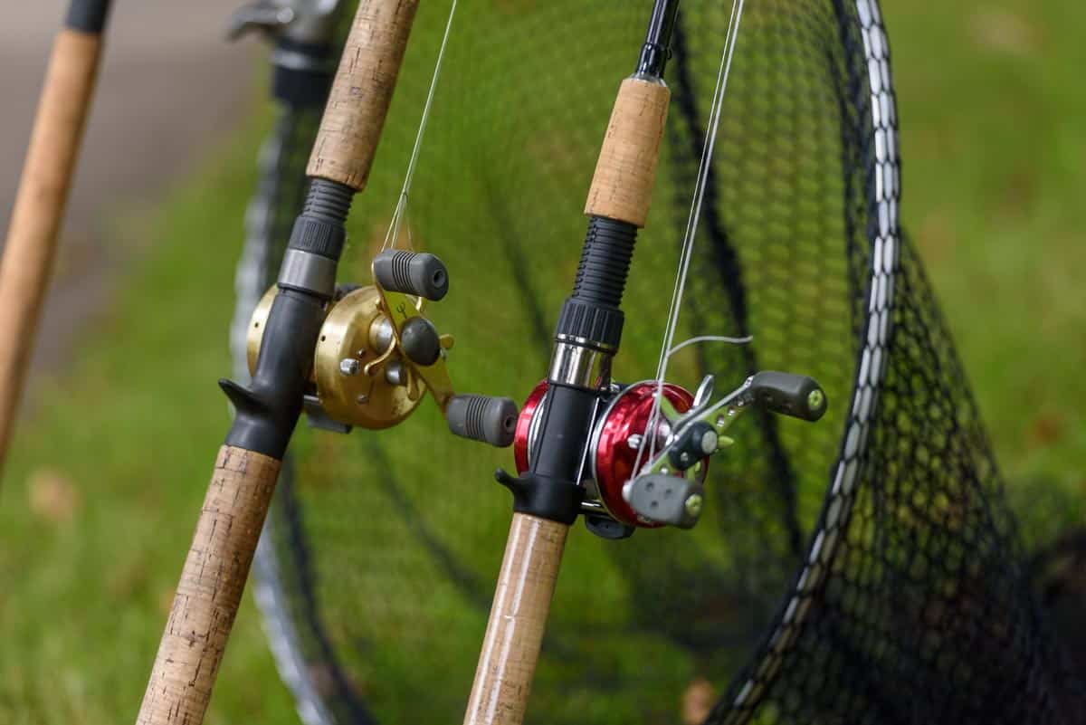 Case study Promoting sustainable angling Fishing in Ireland Catch