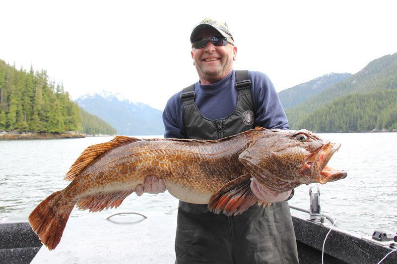 Ling Cod Kingfish Westcoast Adventure