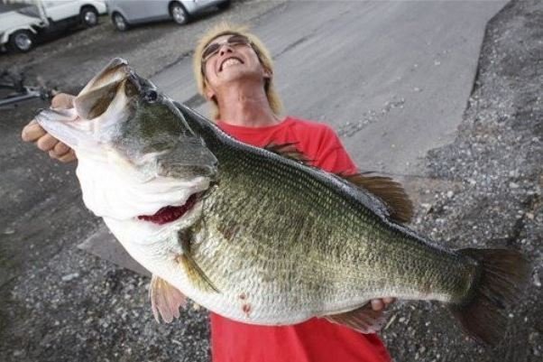 驚愕の事実！ブラックバス世界記録10.12キロは琵琶湖で釣れていた！？【動画】