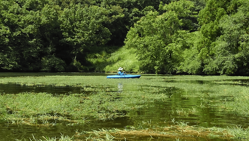 キャッチアンドリリースって意味ないの？釣り人なら知っておきたい魚を取り巻く事情｜釣りまとめアンテナ