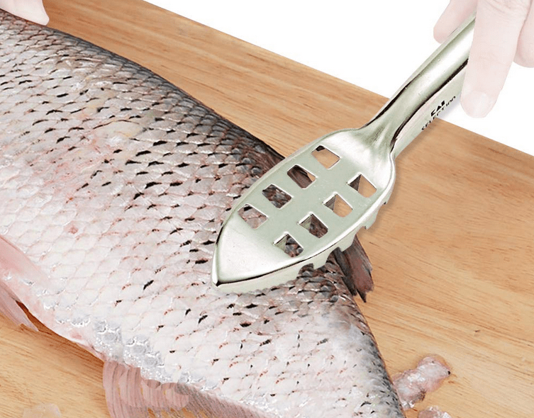 ウロコ取り特集！釣った魚のウロコをキレイに取るためのおすすめアイテム