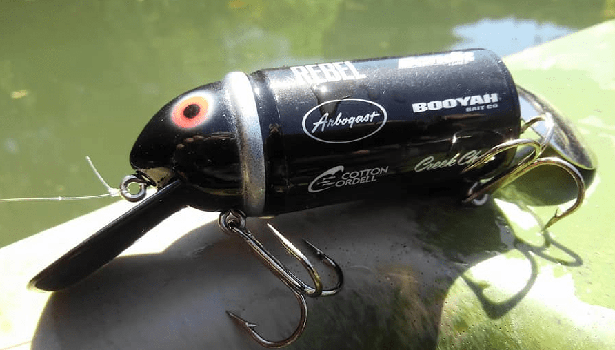 ノイジーってどんなルアーなの？特徴やおすすめルアーをピックアップ