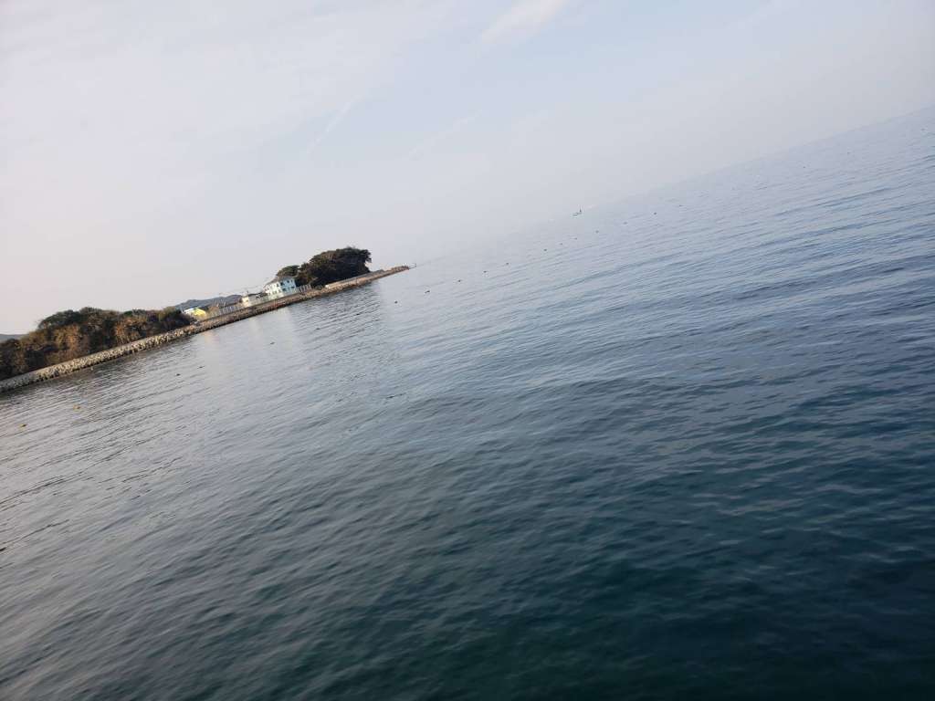 とっ と パーク 小島 フカセ