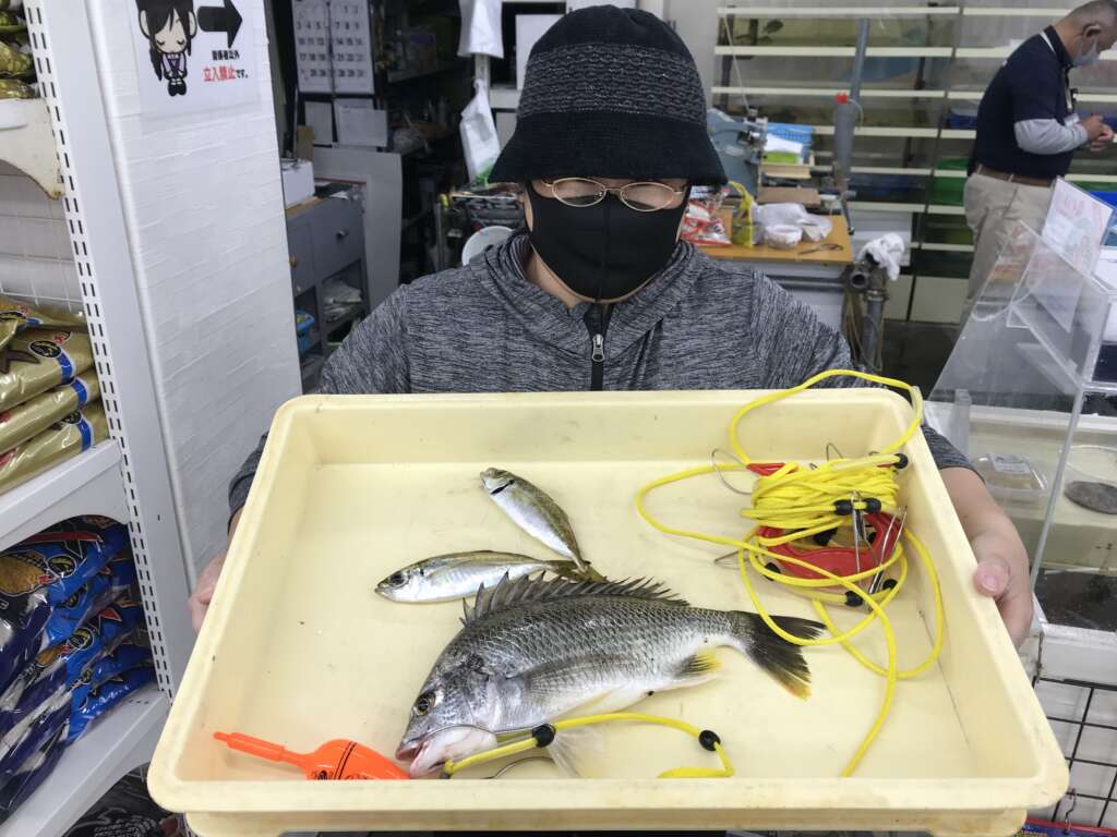 岸和田周辺 エリア フィッシングマックス 関西の釣果大阪･神戸･和歌山の釣果情報