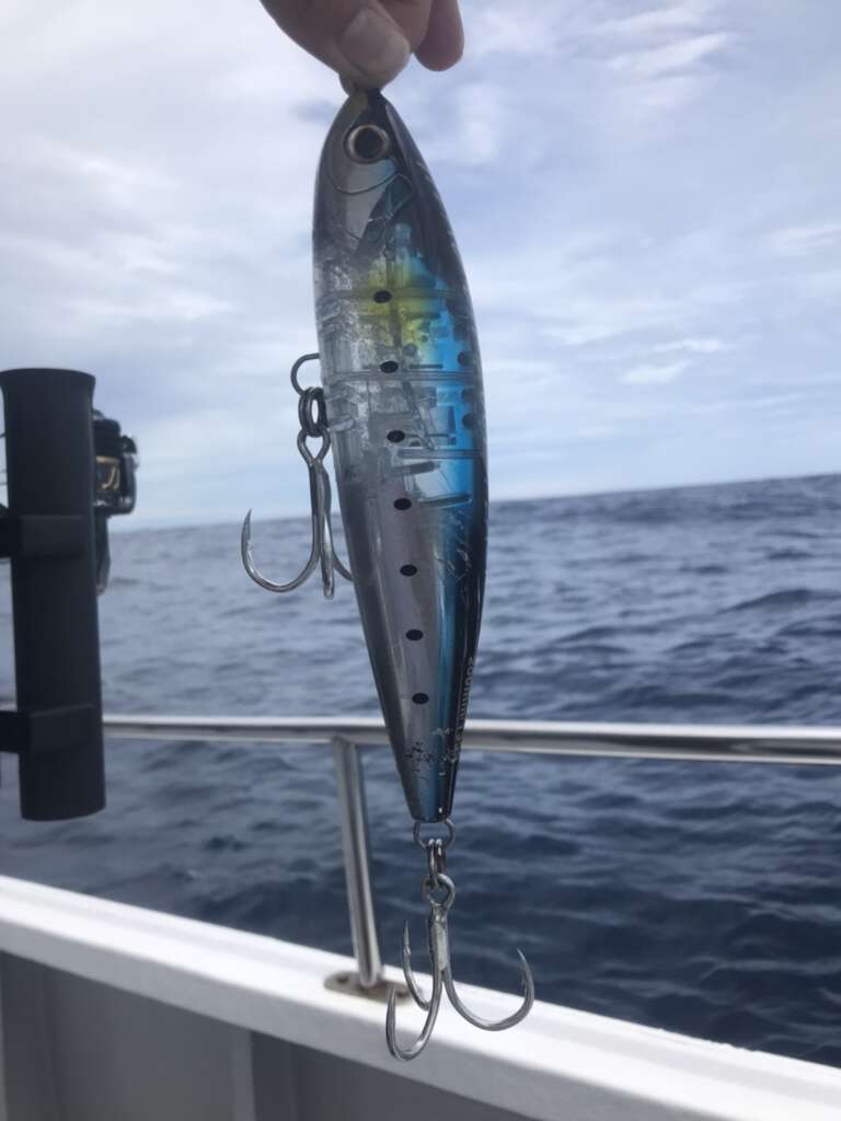 関さまのヒットルアーは【OCEAヘッドディップ】