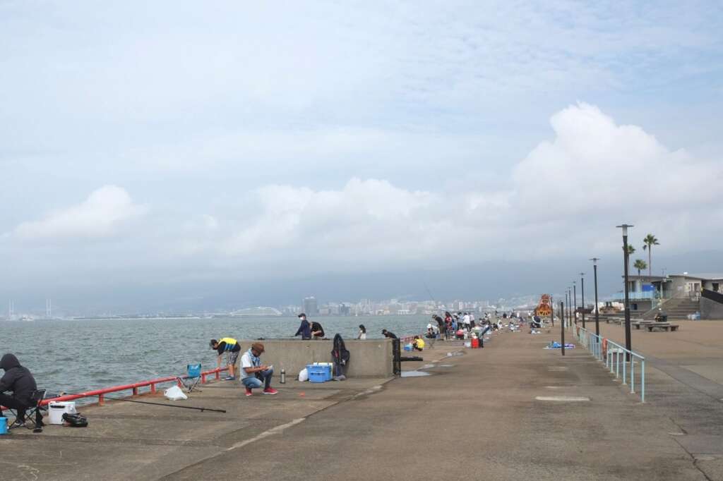 鳴尾浜海釣り公園 近況釣果 フィッシングマックス 関西の釣果大阪･神戸･和歌山の釣果情報